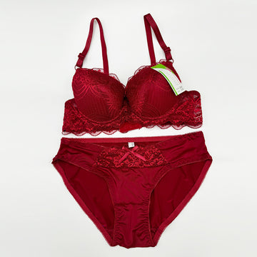 Red Embroidered Lingerie Set